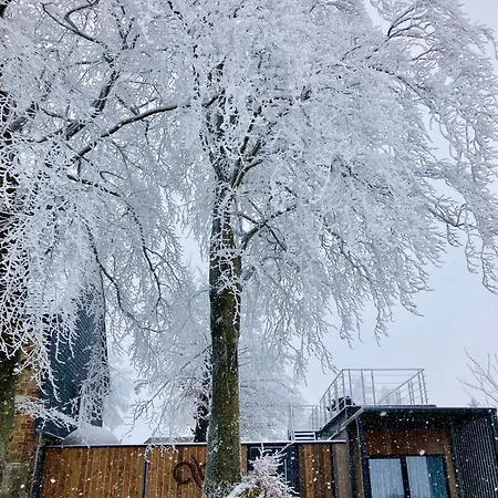 Tiny House - Luxury Cottage Büllingen Buitenkant foto