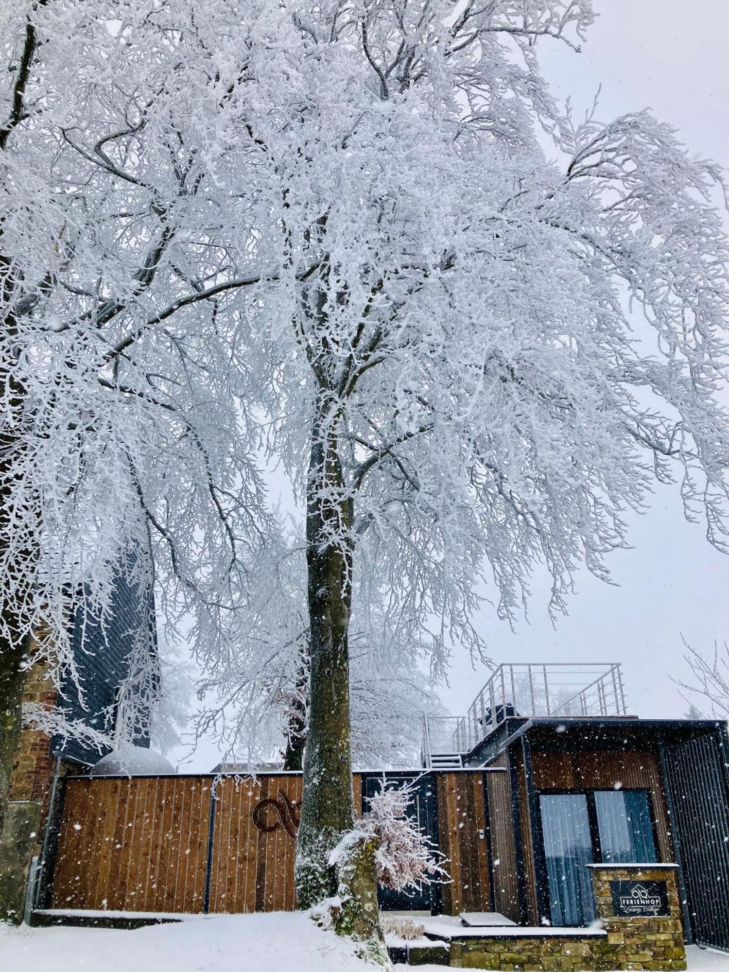 Apartment Tiny House - Luxury Büllingen